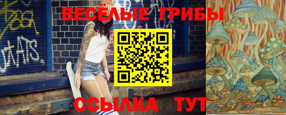 Псилоцибиновые грибы GOLDEN TEACHER Самара
