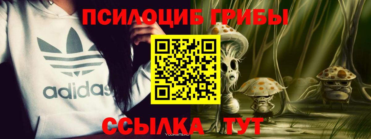 Псилоцибиновые грибы ЛСД  Псилоцибиновые грибы GOLDEN TEACHER  Самара  Вход с VPN 